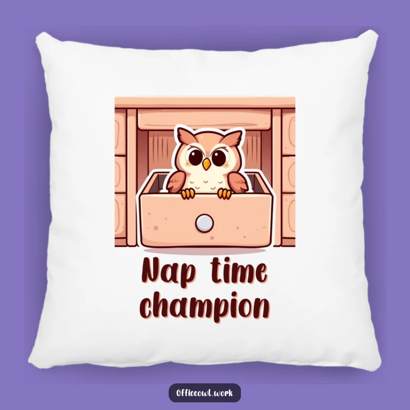 Funny Owl Drawer Pillow - Warm Snuggled Owl Comfort Gift